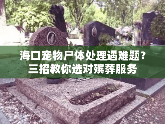 海口宠物尸体处理遇难题？三招教你选对殡葬服务