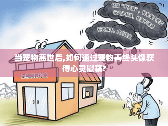 当宠物离世后,如何通过宠物善终头像获得心灵慰藉?