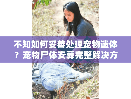 不知如何妥善处理宠物遗体？宠物尸体安葬完整解决方案在这里！