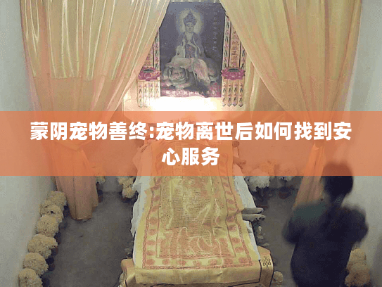 蒙阴宠物善终:宠物离世后如何找到安心服务
