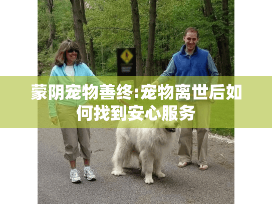 蒙阴宠物善终:宠物离世后如何找到安心服务