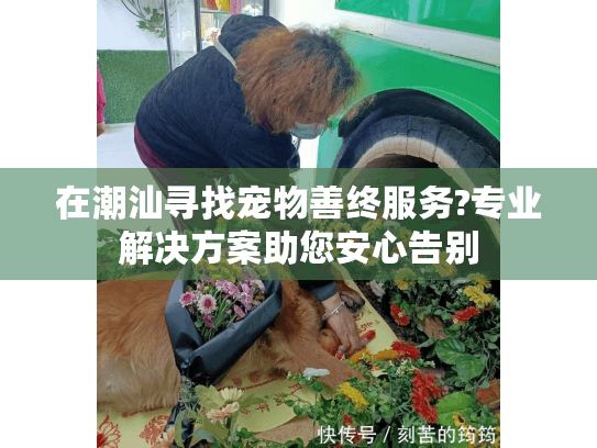 在潮汕寻找宠物善终服务?专业解决方案助您安心告别