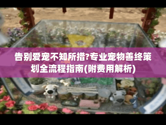告别爱宠不知所措?专业宠物善终策划全流程指南(附费用解析)