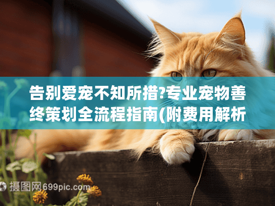 告别爱宠不知所措?专业宠物善终策划全流程指南(附费用解析)