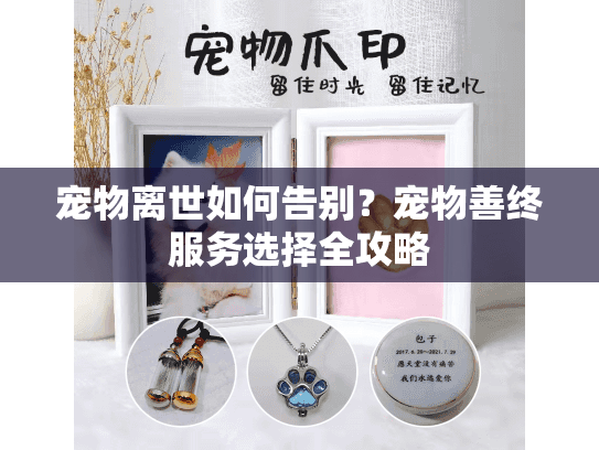 宠物离世如何告别？宠物善终服务选择全攻略