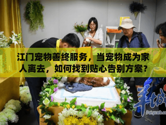 江门宠物善终服务，当宠物成为家人离去，如何找到贴心告别方案？