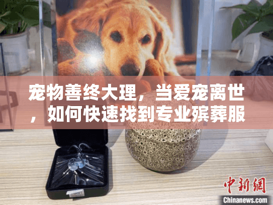 宠物善终大理，当爱宠离世，如何快速找到专业殡葬服务？