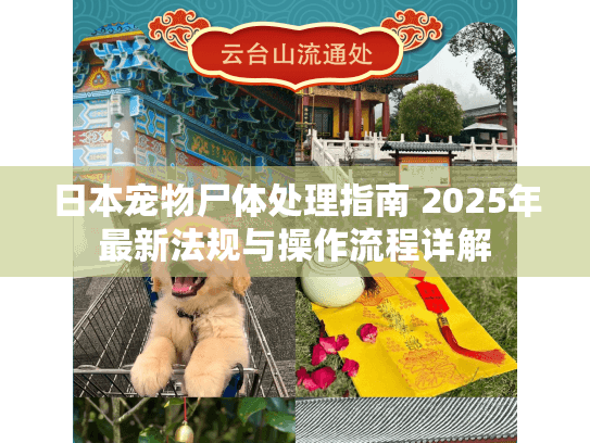 日本宠物尸体处理指南 2025年最新法规与操作流程详解