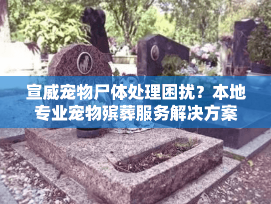 宣威宠物尸体处理困扰？本地专业宠物殡葬服务解决方案