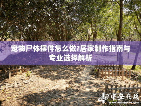宠物尸体摆件怎么做?居家制作指南与专业选择解析