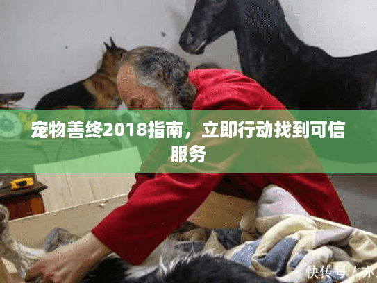 宠物善终2018指南，立即行动找到可信服务