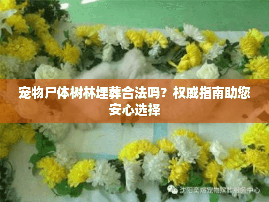 宠物尸体树林埋葬合法吗？权威指南助您安心选择
