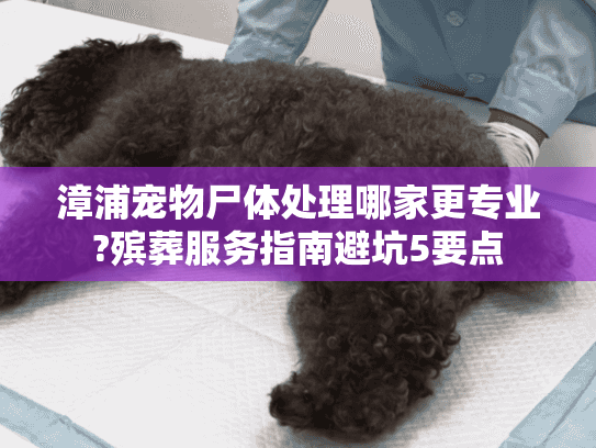 漳浦宠物尸体处理哪家更专业?殡葬服务指南避坑5要点