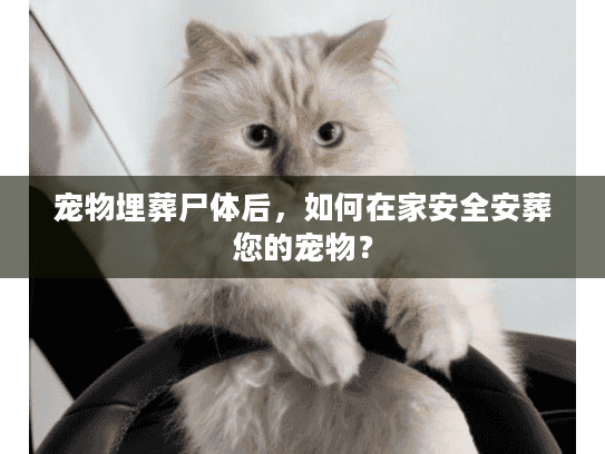 宠物埋葬尸体后，如何在家安全安葬您的宠物？