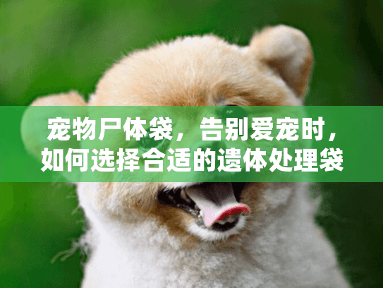 宠物尸体袋，告别爱宠时，如何选择合适的遗体处理袋？