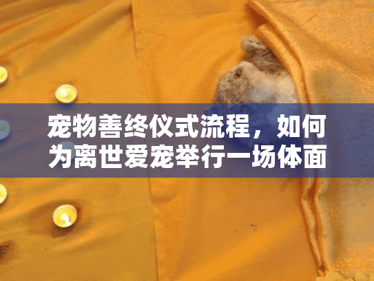 宠物善终仪式流程，如何为离世爱宠举行一场体面告别仪式的完整指南？