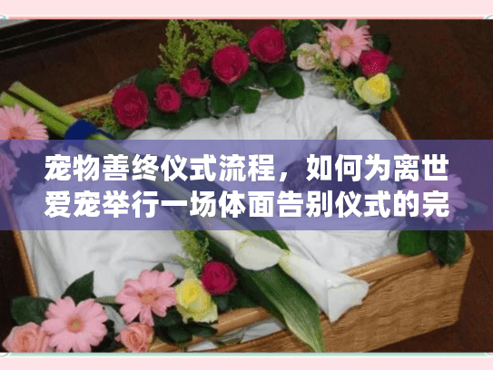 宠物善终仪式流程，如何为离世爱宠举行一场体面告别仪式的完整指南？