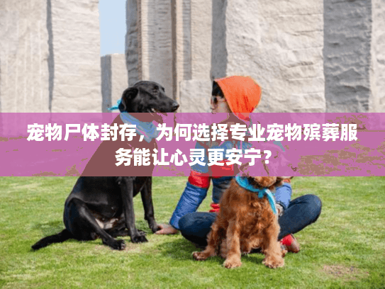 宠物尸体封存，为何选择专业宠物殡葬服务能让心灵更安宁？