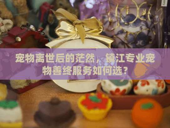 宠物离世后的茫然，镇江专业宠物善终服务如何选？