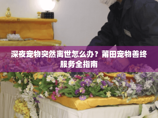 深夜宠物突然离世怎么办？莆田宠物善终服务全指南