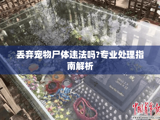 丢弃宠物尸体违法吗?专业处理指南解析