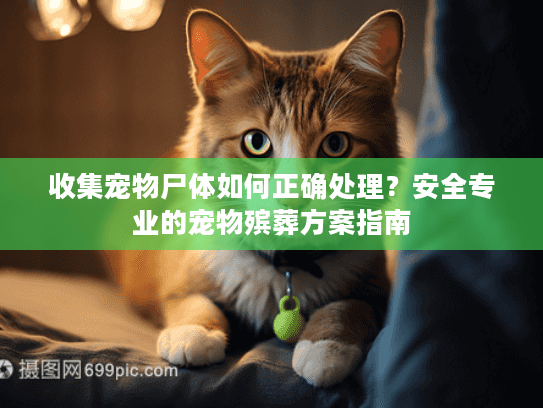 收集宠物尸体如何正确处理？安全专业的宠物殡葬方案指南