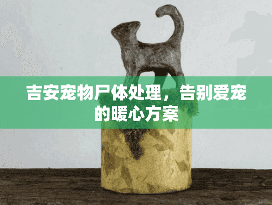 吉安宠物尸体处理，告别爱宠的暖心方案