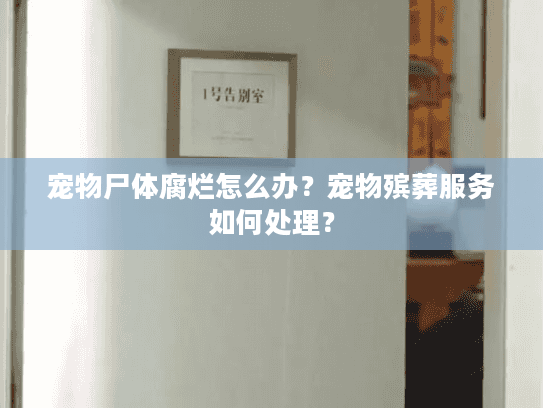 宠物尸体腐烂怎么办？宠物殡葬服务如何处理？