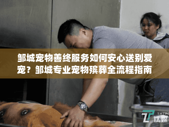 邹城宠物善终服务如何安心送别爱宠？邹城专业宠物殡葬全流程指南