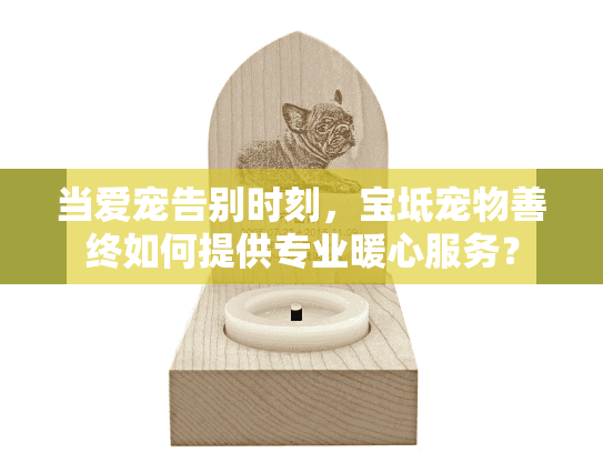 当爱宠告别时刻，宝坻宠物善终如何提供专业暖心服务？