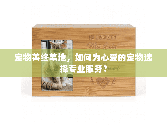 宠物善终墓地，如何为心爱的宠物选择专业服务？