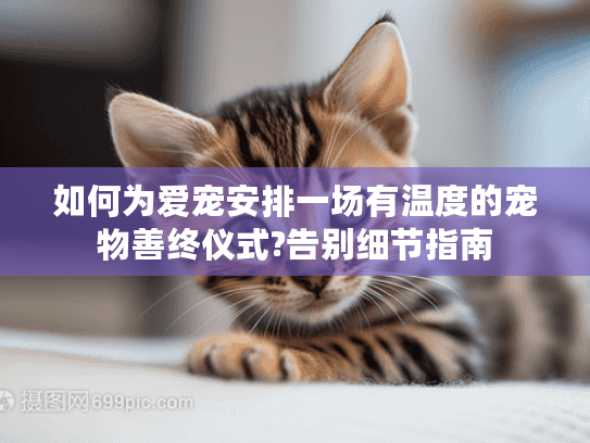 如何为爱宠安排一场有温度的宠物善终仪式?告别细节指南