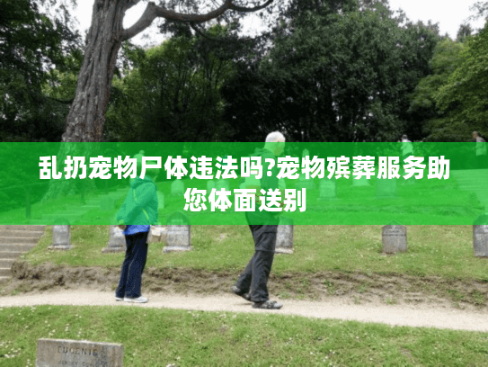 乱扔宠物尸体违法吗?宠物殡葬服务助您体面送别
