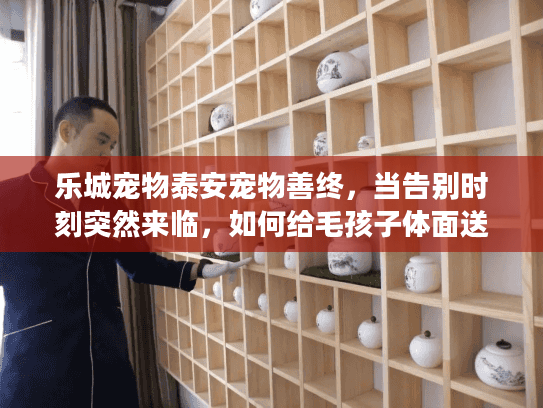乐城宠物泰安宠物善终，当告别时刻突然来临，如何给毛孩子体面送别？