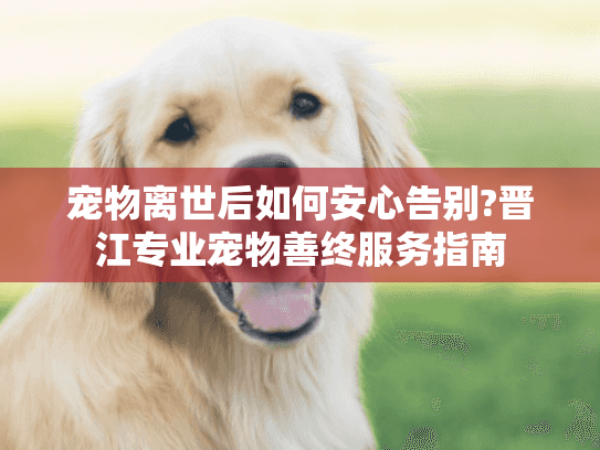 宠物离世后如何安心告别?晋江专业宠物善终服务指南