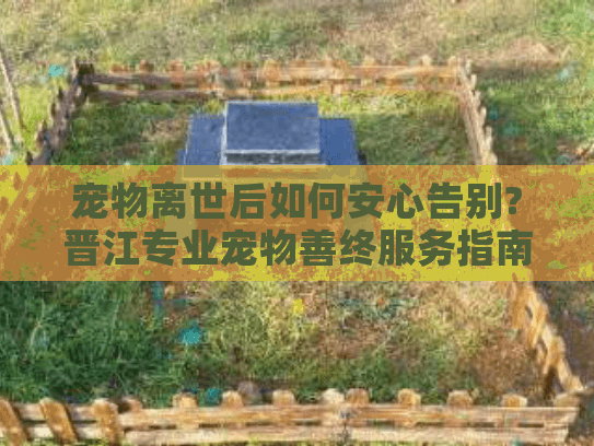 宠物离世后如何安心告别?晋江专业宠物善终服务指南