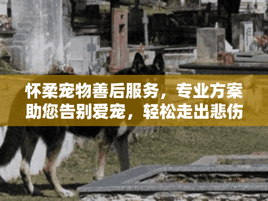 怀柔宠物善后服务，专业方案助您告别爱宠，轻松走出悲伤