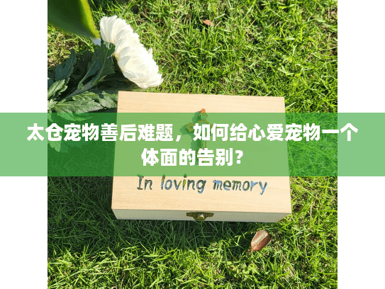 太仓宠物善后难题，如何给心爱宠物一个体面的告别？