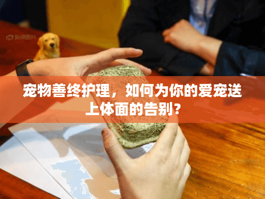 宠物善终护理，如何为你的爱宠送上体面的告别？