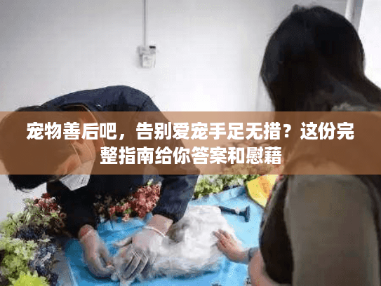 宠物善后吧，告别爱宠手足无措？这份完整指南给你答案和慰藉