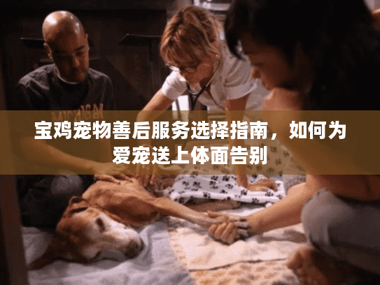 宝鸡宠物善后服务选择指南，如何为爱宠送上体面告别