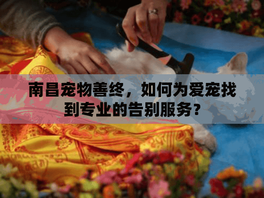 南昌宠物善终，如何为爱宠找到专业的告别服务？