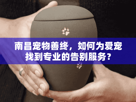 南昌宠物善终，如何为爱宠找到专业的告别服务？