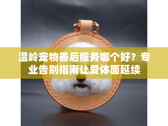 温岭宠物善后服务哪个好？专业告别指南让爱体面延续