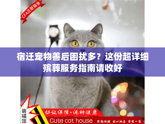 宿迁宠物善后困扰多?这份超详细殡葬服务指南请收好 宿迁宠物善后困扰多?这份超详细殡葬服务指南请收好