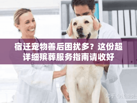 宿迁宠物善后困扰多?这份超详细殡葬服务指南请收好 宿迁宠物善后困扰多?这份超详细殡葬服务指南请收好