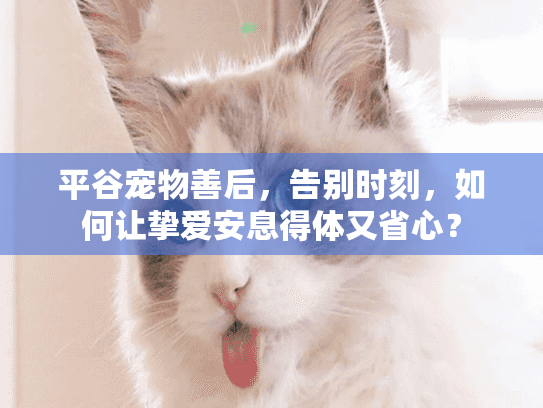 平谷宠物善后，告别时刻，如何让挚爱安息得体又省心？