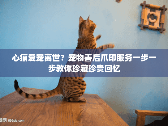 心痛爱宠离世？宠物善后爪印服务一步一步教你珍藏珍贵回忆