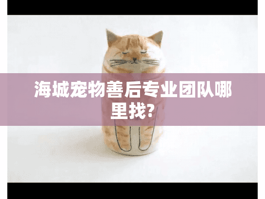 海城宠物善后专业团队哪里找?