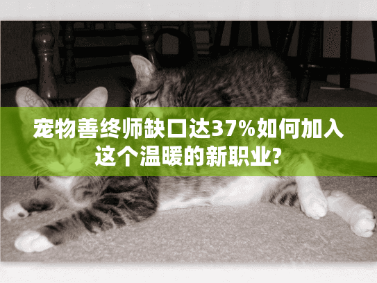 宠物善终师缺口达37%如何加入这个温暖的新职业?